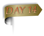 DAY 14